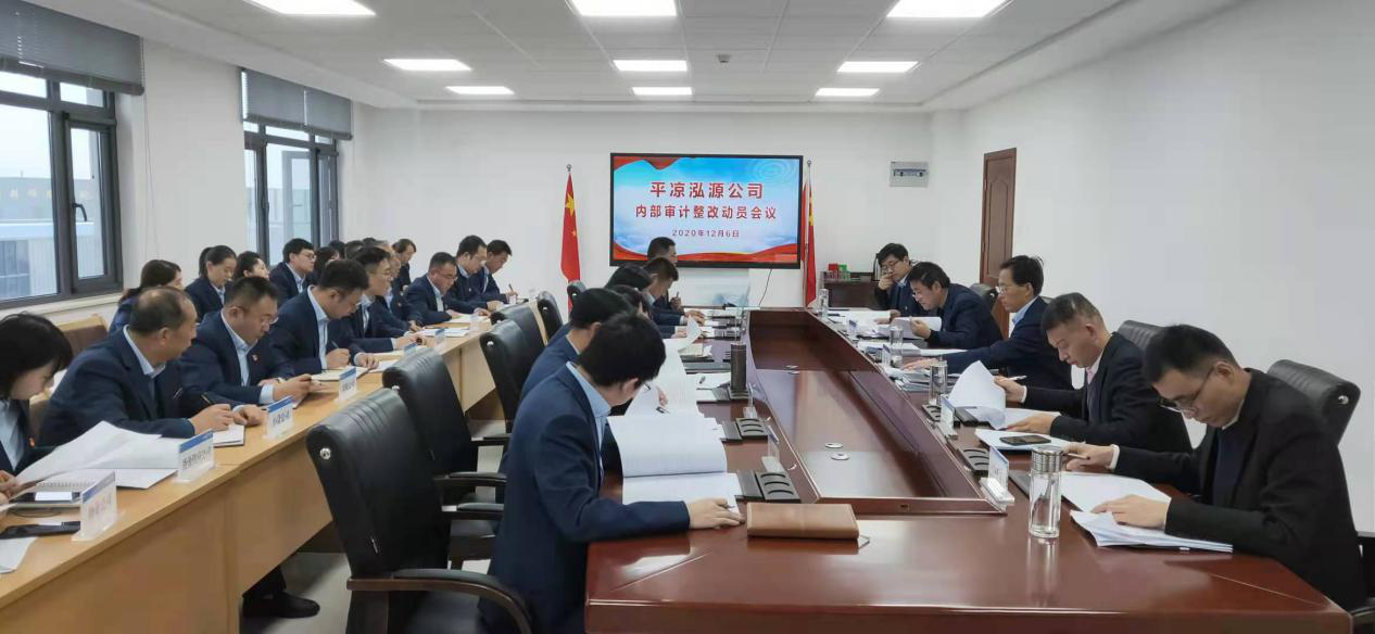 泓源公司召開(kāi)內部審計整改動(dòng)員會(huì )(圖1)